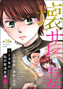 壊サレ妻 ～シタ女は私の妊活友達～（分冊版） 【第14話】の表紙