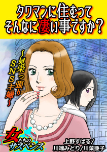 タワマンに住むってそんなに凄い事ですか？～見栄っ張りSNS主婦～無料マンガ表紙,raw