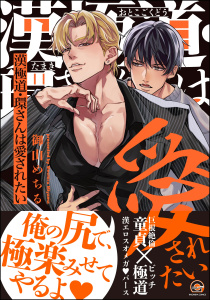 【BL漫画】漢極道・環さんは愛されたい 【電子限定かきおろし漫画付】raw,無料,御山めちる,海王社