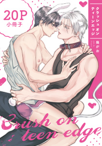 クラッシュ オン ティーンエッジ【20P小冊子】,raw
