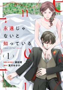 永遠じゃないと知っている(1)の表紙