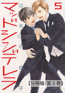 マッドシンデレラ5_♯24/♯25【分冊版 第5巻】の表紙