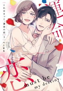 これはきっと、運命の恋 3 【電子限定おまけマンガ付き】,raw