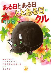 ととある日のクル 4,raw