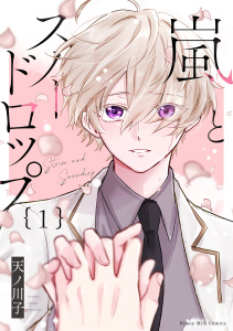 嵐とスノードロップ（１）の表紙