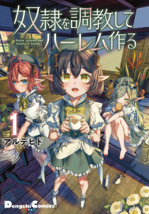 奴隷を調教してハーレム作る(1)の表紙