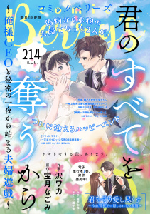 comic Berry's vol.214の表紙