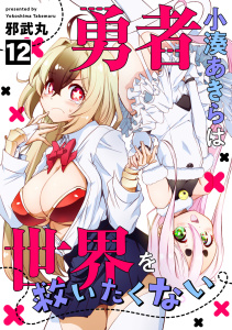 勇者小湊あきらは世界を救いたくない(12)の表紙