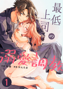 新刊【TL漫画】最低上司の溺愛調教（１）raw,無料,紅碧,かんたま,ナンバーナイン