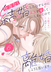 仕方なく結婚したはずなのに貴方を愛してしまったので離婚しようと思います。６の表紙