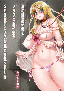 夏の離島研修でクラスの女子達がSEX狂いのメス――に――された話の表紙