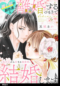 推し似の副社長と離婚するつもりで結婚します～塩対応から始まる溺愛婚～【単話】（25）,raw
