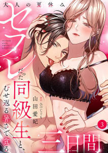 大人の夏休み～セフレだった同級生と、むせ返る暑さで貪る三日間３の表紙