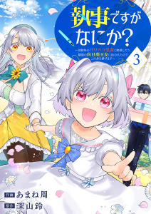 執事ですがなにか？～幼馴染のパワハラ皇女と絶縁したら、隣国の向日葵王女に拾われたのでこの身を捧げます～【電子単行本版】３,raw