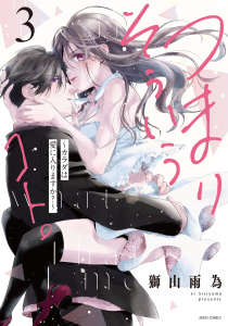 新刊【TL漫画】つまり そういうコト。～カラダは愛に入りますか？～ 3 【電子限定おまけマンガ付き】,raw,無料,獅山雨為（著者）,宙出版