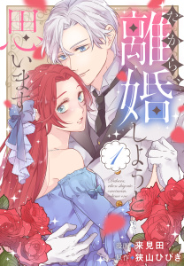 だから、離婚しようと思います（１）【おまけ描き下ろし付き】の表紙