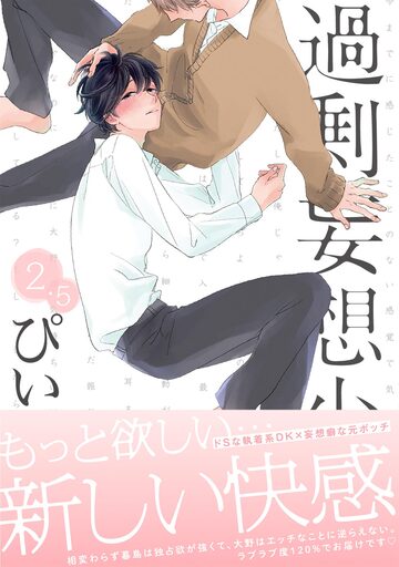 過剰妄想少年2.5巻の表紙