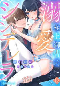 溺愛シンデレラ 極上御曹司に見初められました 【分冊版】12話の表紙