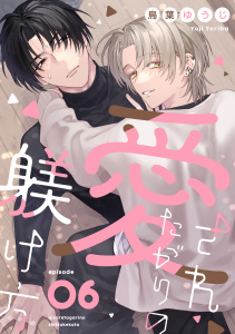 愛されたがりの躾け方6の表紙