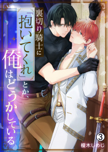 裏切り騎士に「抱いてくれ」とか、俺はどうかしている(3)の表紙