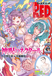 チャンピオンRED　2025年9月号の表紙