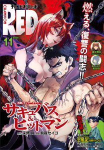 チャンピオンRED　2025年11月号の表紙