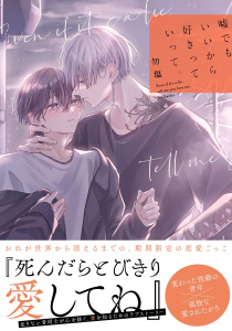 新刊【BL漫画】嘘でもいいから好きっていって。 【電子限定おまけ付き】raw,無料,勿塩（著者）,幻冬舎コミックス