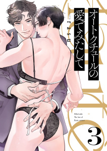 オートクチュールの愛でみたして３の表紙