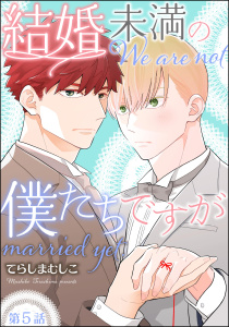 結婚未満の僕たちですが（分冊版） 【第5話】の表紙