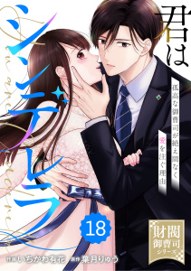 comic Berry's 君はシンデレラ～孤高な御曹司が絶え間なく愛を注ぐ理由～【財閥御曹司シリーズ】（分冊版）18話,raw