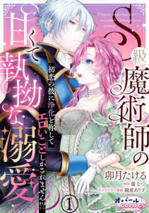 S級魔術師の甘くて執拗な溺愛　初恋の彼に浄化と称してエロいことしかされません！？１の表紙