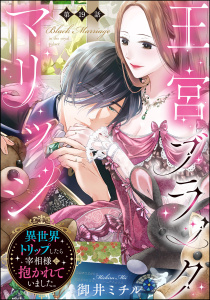 新刊【TL漫画】王宮ブラックマリッジ 異世界トリップしたら宰相様に抱かれていました。（分冊版） 【第19話】,raw,無料,御井ミチル,ぶんか社