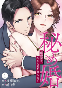 秘め婚　離婚前夜、今から愛を育てます 第1話の表紙