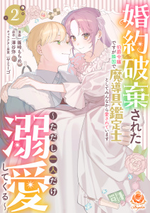 婚約破棄された伯爵令嬢ですが隣国で魔導具鑑定士としてみんなから愛されています～ただし一人だけ溺愛してくる～【合本版】2の表紙