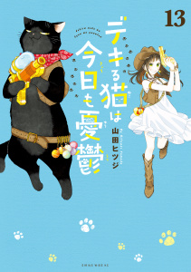 デキる猫は今日も憂鬱（13）の表紙