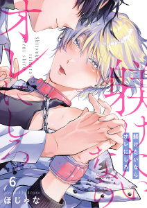 躾けたいならオレにしろ（６）の表紙