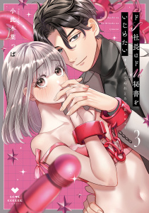 新刊【TL漫画】ドS社長はドM秘書をいじめたい～オフィスでぬれとろ玩具レビュー～ 3【電子限定漫画付き】raw,無料,小此木葉っぱ（著）,ブライト出版