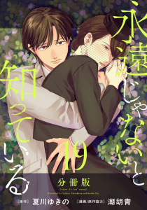 新刊【漫画】永遠じゃないと知っている【分冊版】19raw,無料,原作：夏川ゆきの,漫画/原作協力：潮胡青,マンガボックス