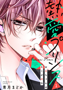【期間限定　無料お試し版　閲覧期限2026年8月31日】【単話売】熱愛プリンス お兄ちゃんはキミが好き 1話の表紙
