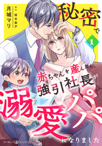 【期間限定　無料お試し版　閲覧期限2026年9月1日】秘密で赤ちゃんを産んだら、強引社長が溺愛パパになりました【分冊版】1話の表紙