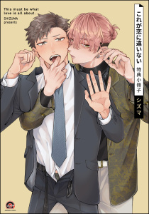 【BL漫画】これが恋に違いない 特典小冊子raw,無料,シズマ,海王社