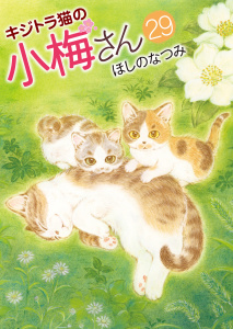 新刊【少年・青年漫画】キジトラ猫の小梅さん (29),raw,無料,著者：ほしのなつみ,少年画報社