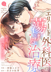 新刊【漫画】エリート外科医の蕩ける治療～先生、私…濡れないんです１１raw,無料,冴島ユカ子（作画）,あさの紅茶（原作）,ファンギルド