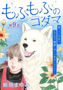 もふもふのコダマ～虐げられ少女は、もふ毛の精霊に守られ幸せになります！～＜単話版＞(９）の表紙