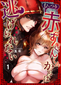 むっつり赤ずきんくんからは逃げられない （1）の表紙