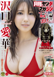 新刊【漫画】月刊ヤングマガジン　2026年No.11 [2026年10月20日発売],raw,無料,佐藤究（原作）,天野雀（著）,楠みちはる（著）,あずま京太郎（著）,都留泰作（著）,中丸洋介（原作）,金藤 澪（著）,イナベカズ（漫画）,るれくちぇ（著）,大橋ユウ（その他）,KENT（著）,巽一文字（著）,竜太（著）,岡沢六十四（原作）,マサイ（原作）,板橋大祐（著）,たかしげ宙（原案）,雪魚（著）,講談社